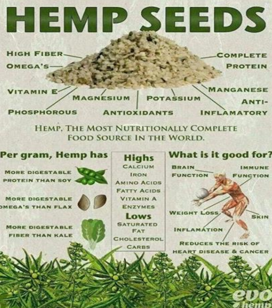 Hemp seeds