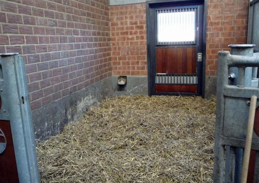 Hemp bedding