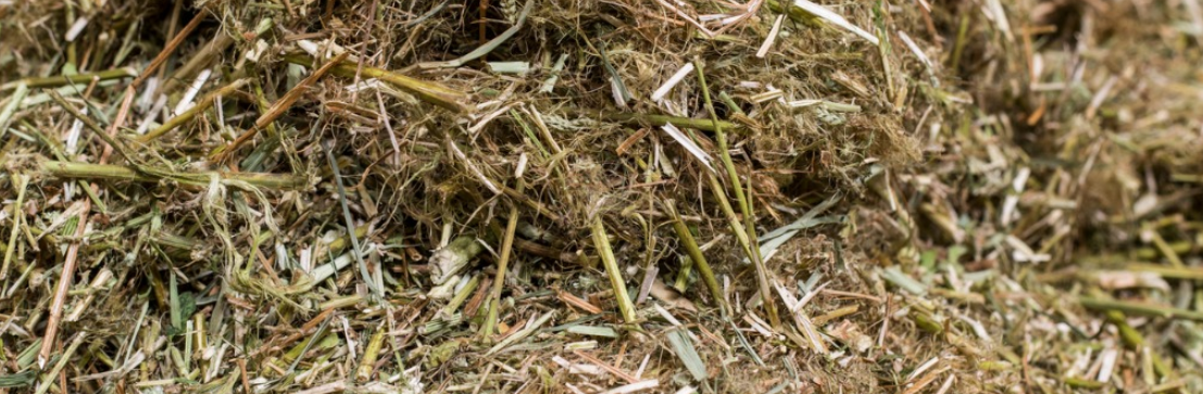 Hemp hurd