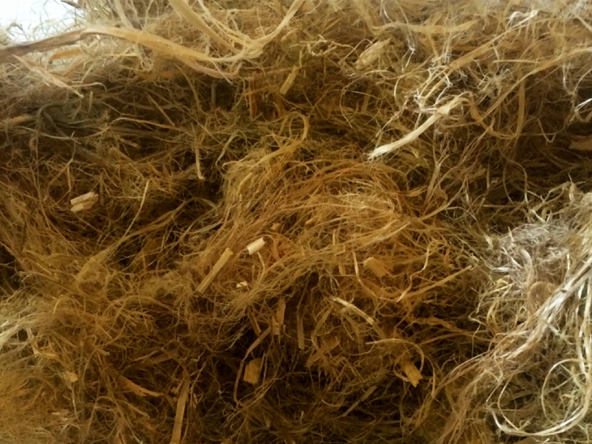Hemp fibre processing